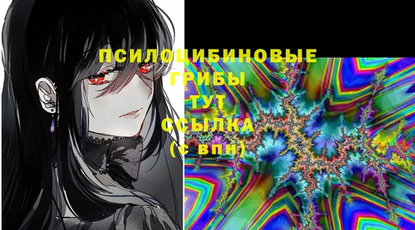 стафф Баксан