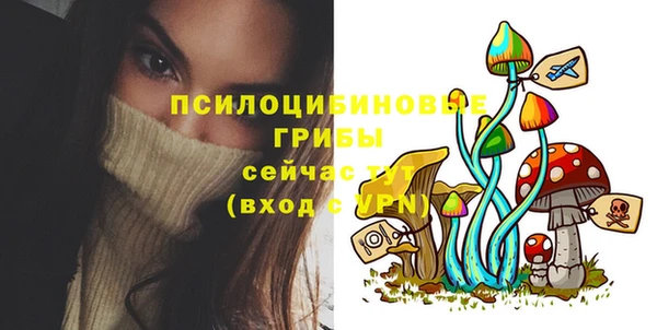 дмт Балахна