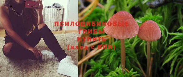 стафф Балабаново